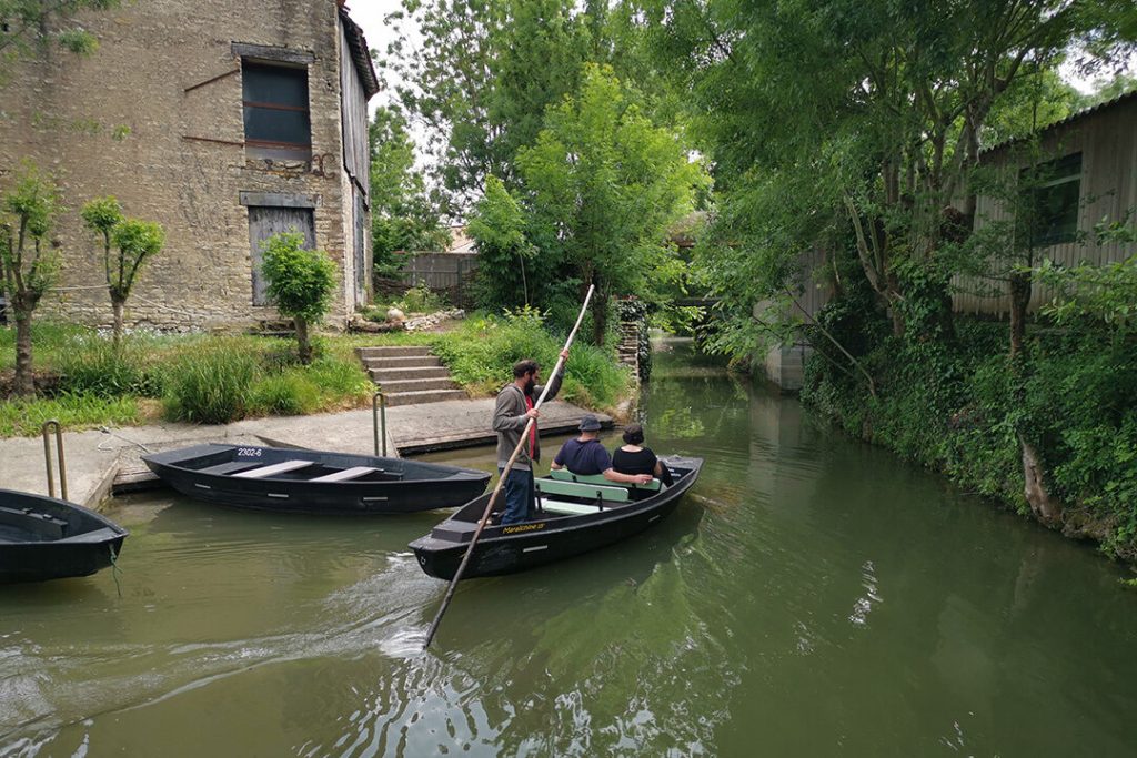 sam-e1675853509634-1